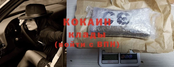 прущие крисы Беломорск