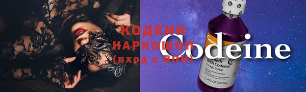 прущий лед Елизово