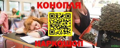 прущие крисы Будённовск