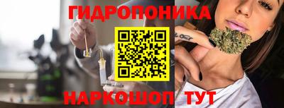 крисы Апшеронск