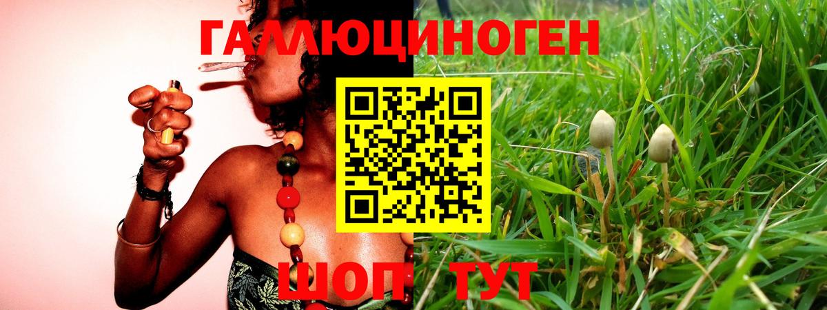 Галлюциногенные грибы прущие грибы  Галлюциногенные грибы Magic Shrooms  Бугульма  Вход с VPN 
